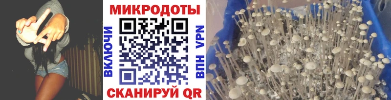 Купить где  Радужный  Галлюциногенные грибы MAGIC MUSHROOMS 